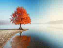 自​动​化‍软﻿件‌工​程‍师‌是﻿干‍什‌么‌的﻿